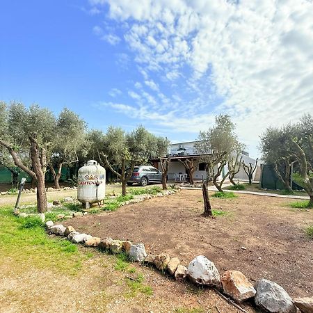 La Perla Di Dea Villa Лидо Ди Фонди Екстериор снимка